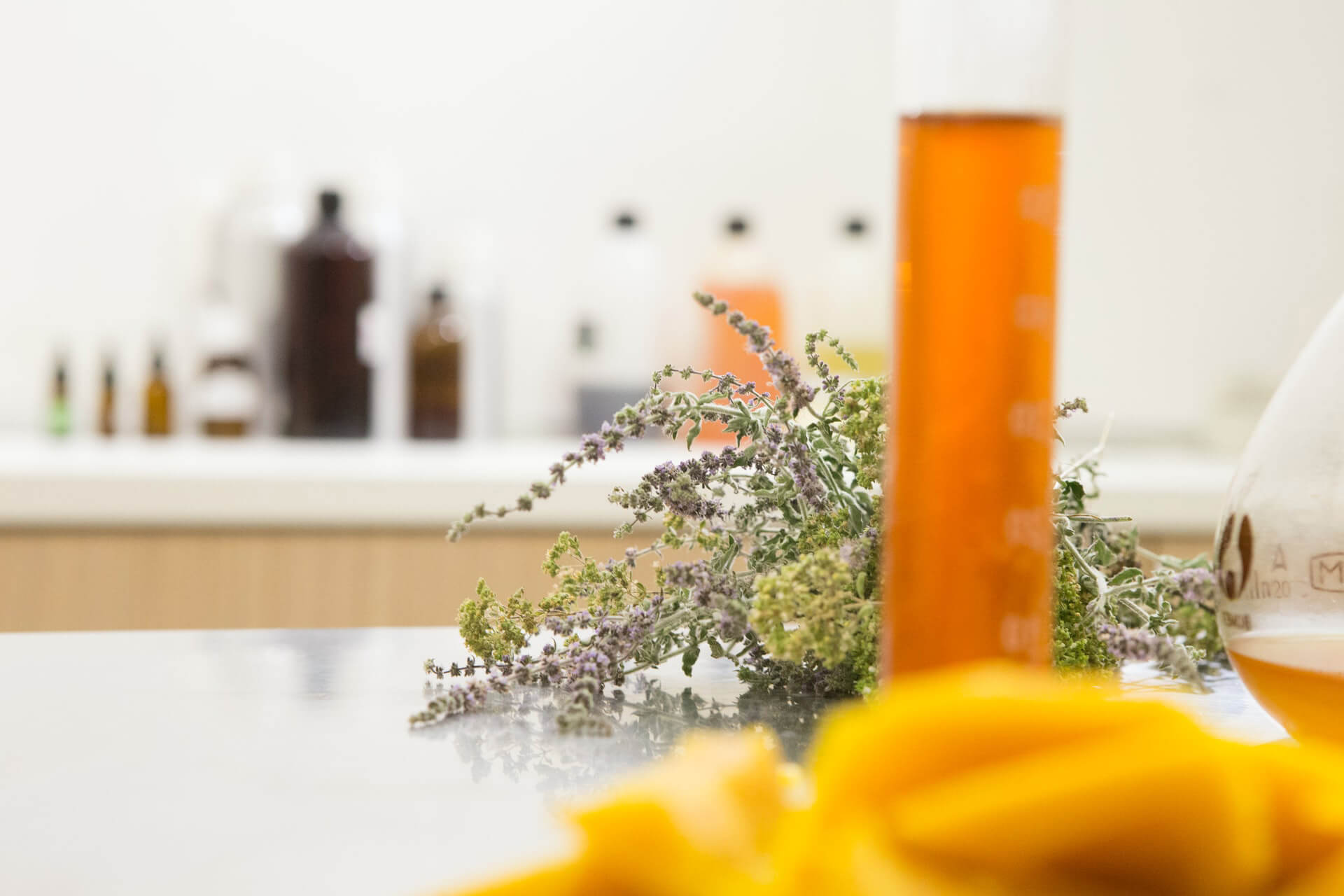 Corso fitoterapia e rimedi naturali online — preparazione piante officinali