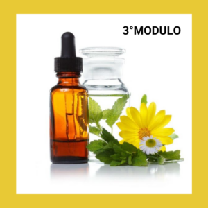 I FIORI DI BACH, corso online modulo 3°