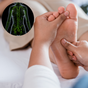 Impara a trattare il Sistema Linfatico, lezione online