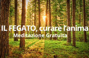 Fegato e emozioni nella medicina cinese foresta simbolo di equilibrio anche con la meditazione